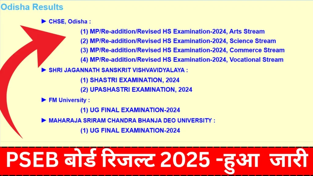 Odisha Matric Result 2025